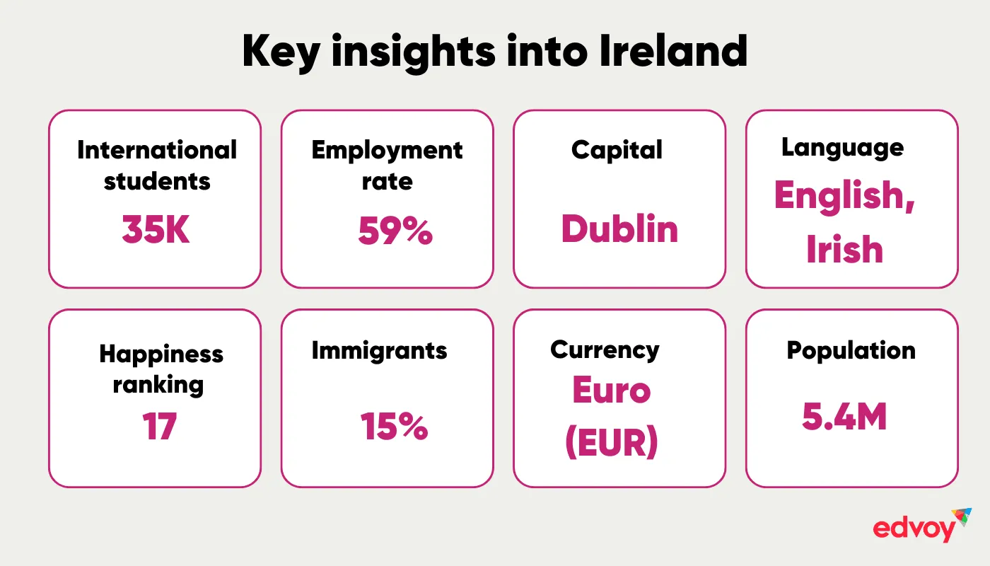 Study in Ireland key insights 